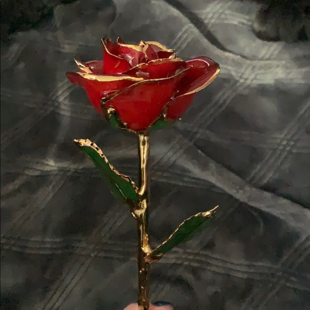 I hate Steven Singer 24k gold dipped rose